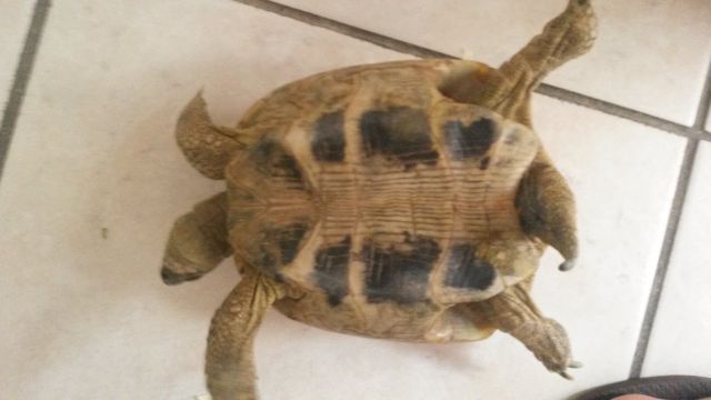 20140618_185717.jpg