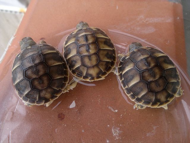 2014-08-03-2272.jpg