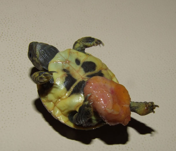 DSCF5507.jpg