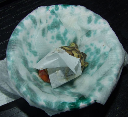 DSCF5511.jpg