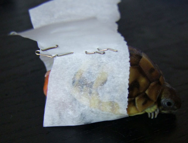 DSCF5510.jpg