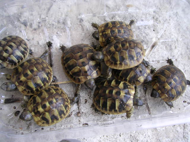 DSCN1666.JPG