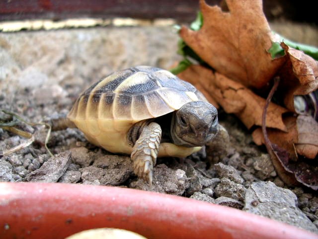 DSCN1675.JPG