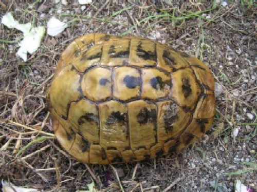 DSCN1678.JPG