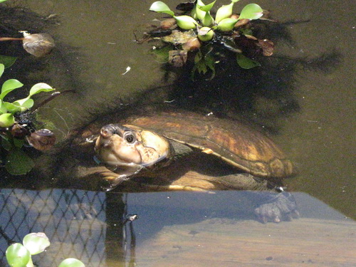 2009-11-09 18-15-33_0145ris.jpg
