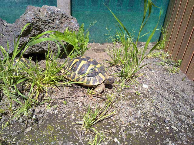 03042010378.jpg