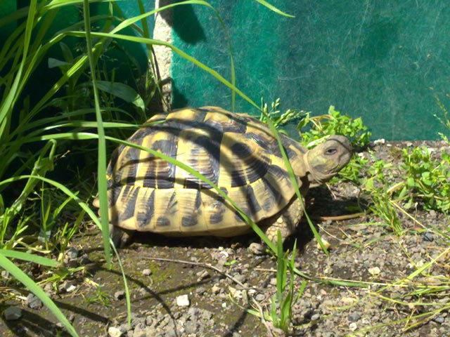 03042010380.jpg