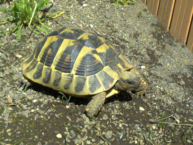 03042010381.jpg