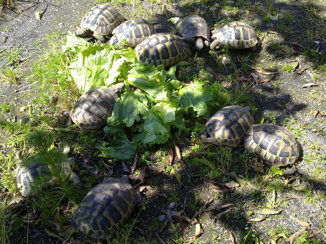 07042010395.jpg