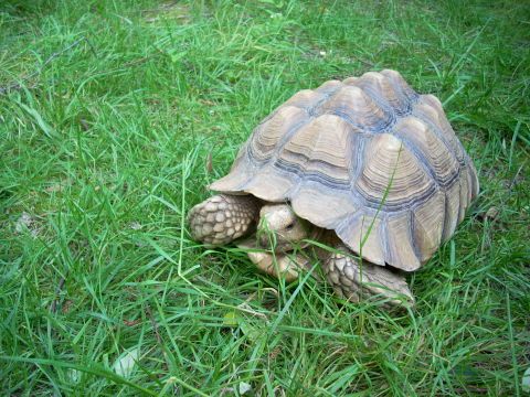 dscn2261.jpg