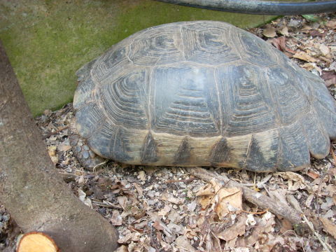dscn2258.jpg