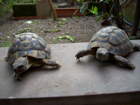 dscn2252.jpg