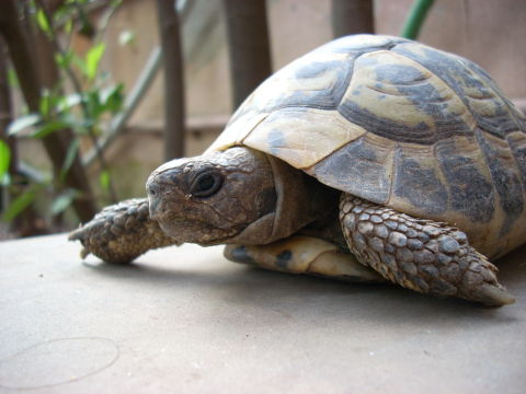 dscn2249.jpg