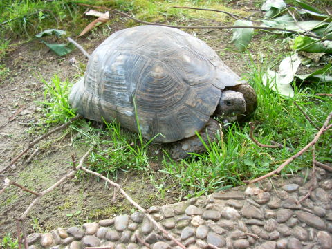 dscn2247.jpg