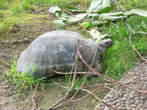 dscn2244.jpg