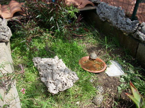 dscn2228.jpg