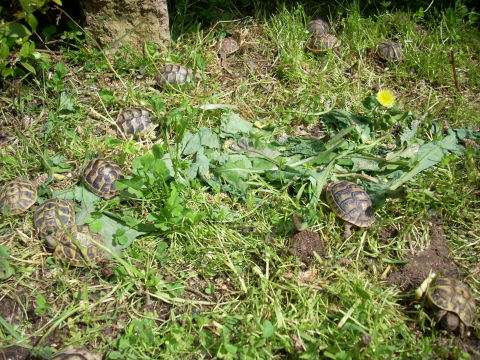 dscn2226.jpg