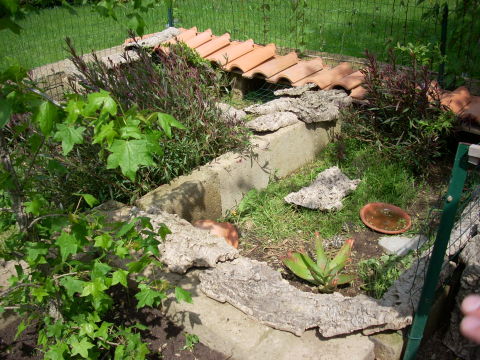 dscn2220.jpg
