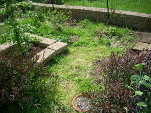 dscn2219.jpg