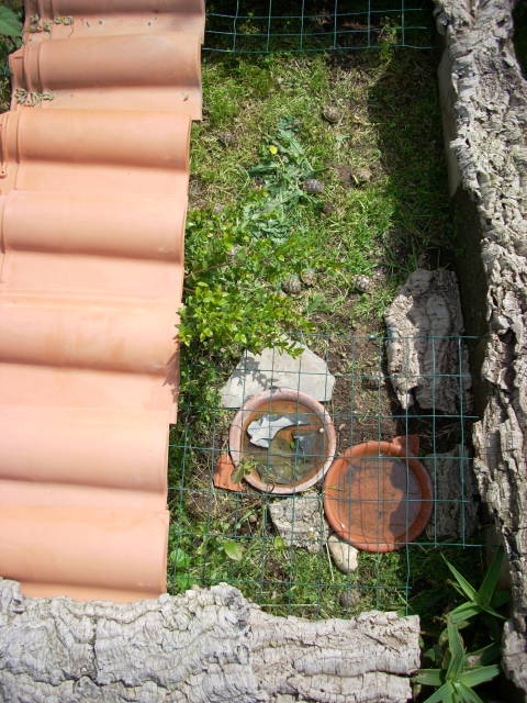 dscn2218.jpg