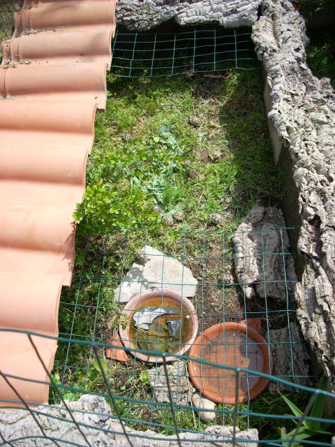 dscn2217.jpg