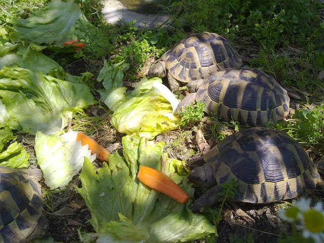 09_29042010465.jpg