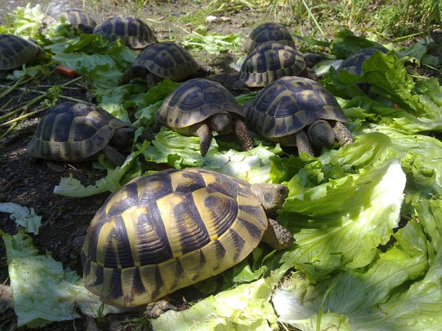 10_29042010471.jpg