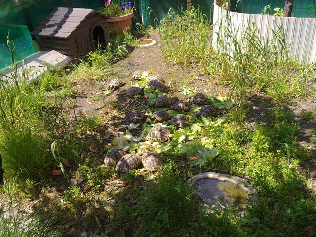 12_29042010478.jpg