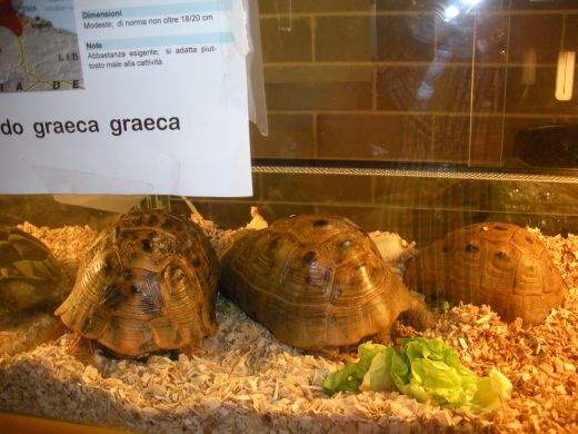 FOTO 010.jpg