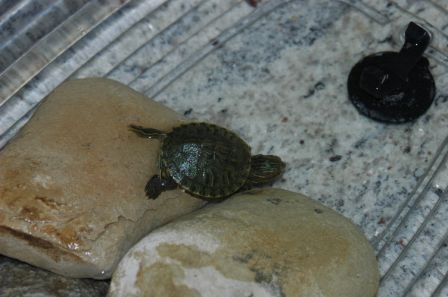 DSC_2360.JPG