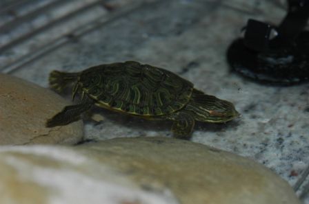 DSC_2363.JPG