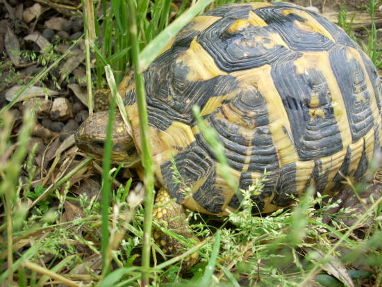 dscn2320.jpg