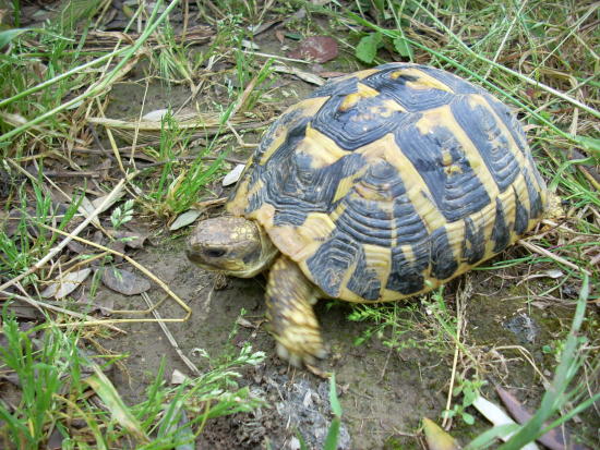 dscn2318.jpg