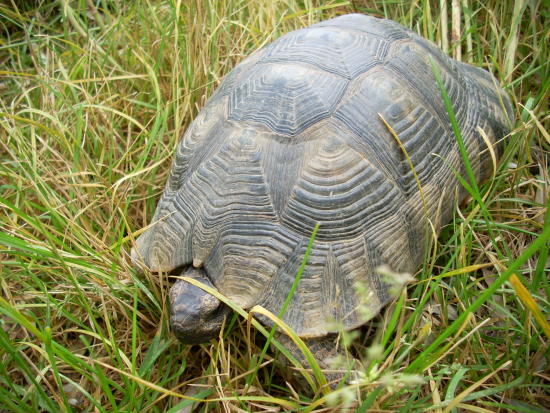 dscn2313.jpg