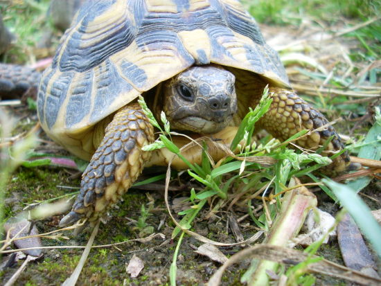 dscn2308.jpg