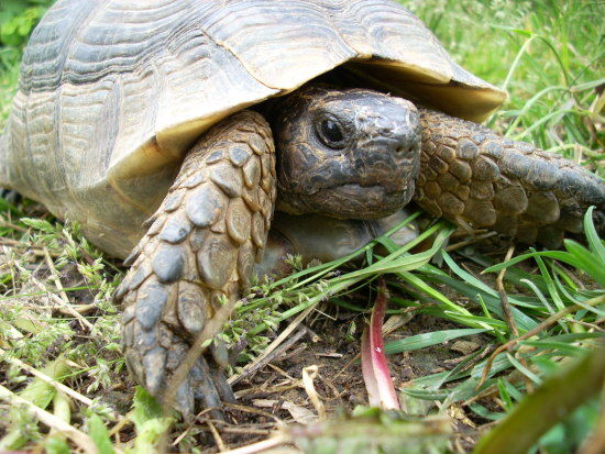 dscn2305.jpg