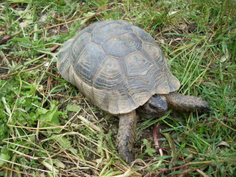 dscn2304.jpg