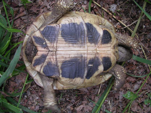 DSCN1837.JPG