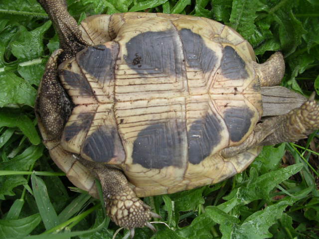 DSCN1839.JPG
