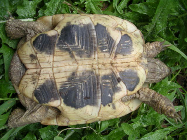 DSCN1840.JPG