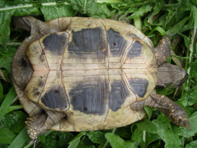 DSCN1841.JPG
