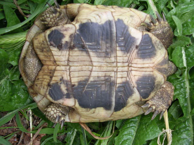 DSCN1842.JPG