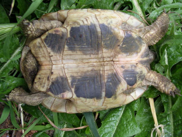 DSCN1843.JPG