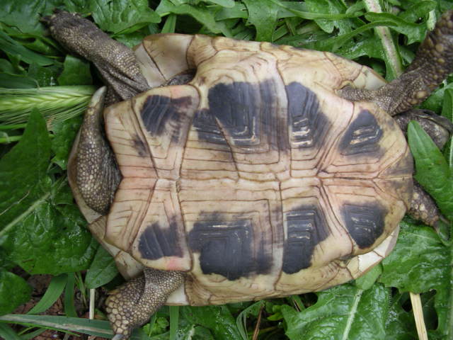 DSCN1844.JPG