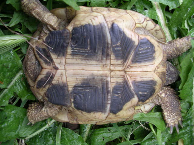 DSCN1845.JPG