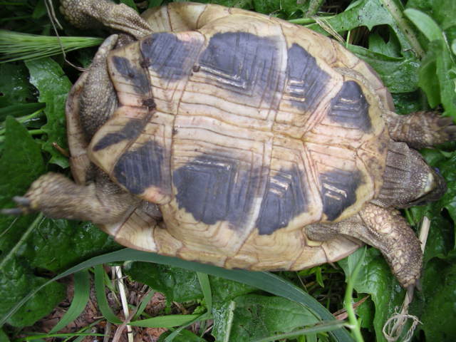 DSCN1846.JPG