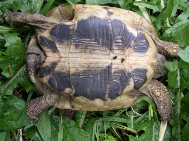 DSCN1847.JPG