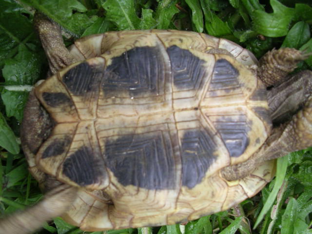 DSCN1848.JPG