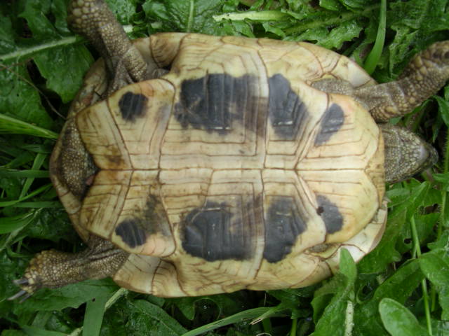 DSCN1849.JPG