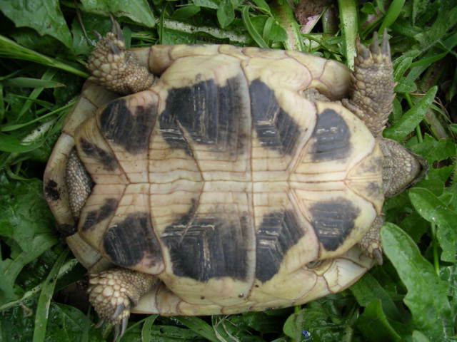 DSCN1850.JPG